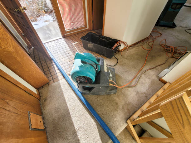 Best Water damage repair service  in Dagsboro, DE