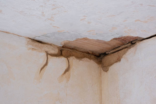 Best Local water damage restoration  in Dagsboro, DE