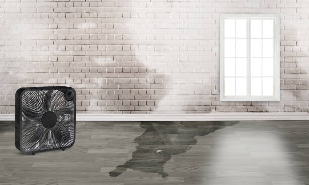 Reliable DE Water damage restoration Solutions