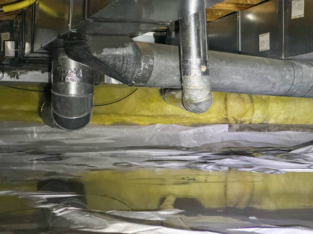 Best Water damage restoration company  in Dagsboro, DE