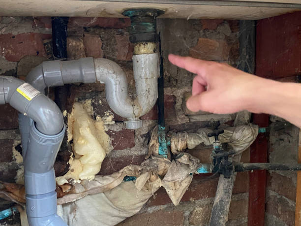 Best Residential water damage restoration  in Dagsboro, DE