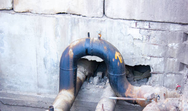 Best Flood restoration services  in Dagsboro, DE
