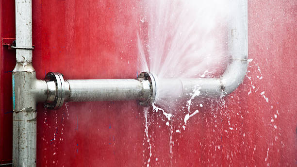 Best Water damage restoration process  in Dagsboro, DE